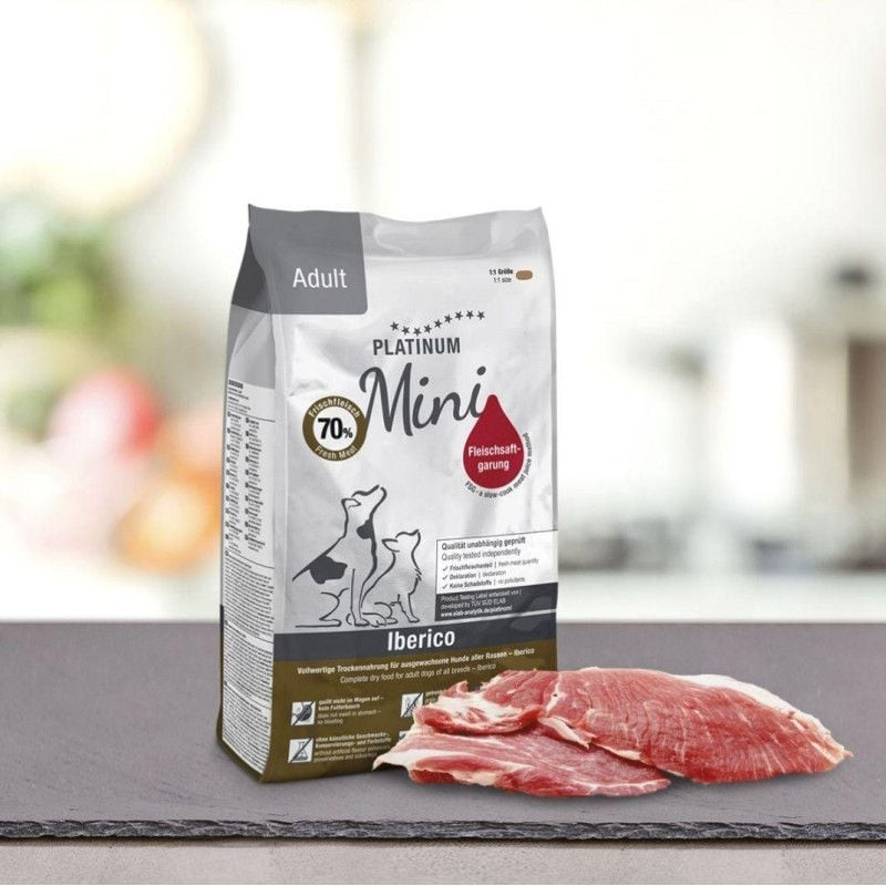 Image de style de vie d'un petit chien dégustant les croquettes PLATINUM Adult Mini Ibérique & Green