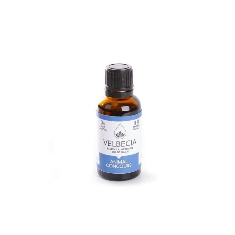 Remède floral Velbecia Competition pour animaux, flacon anti-stress sans alcool