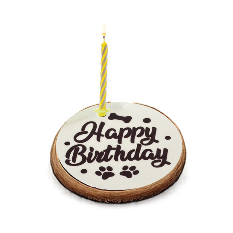 GATEAU D'ANNIVERSAIRE AVEC BOUGIE CHIEN 110G