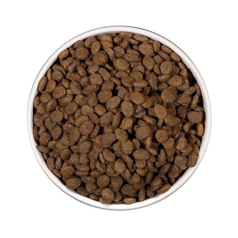 Vue de dessus en gros plan des croquettes Ownat Care Renal pour chat dans un bol blanc, morceaux bru
