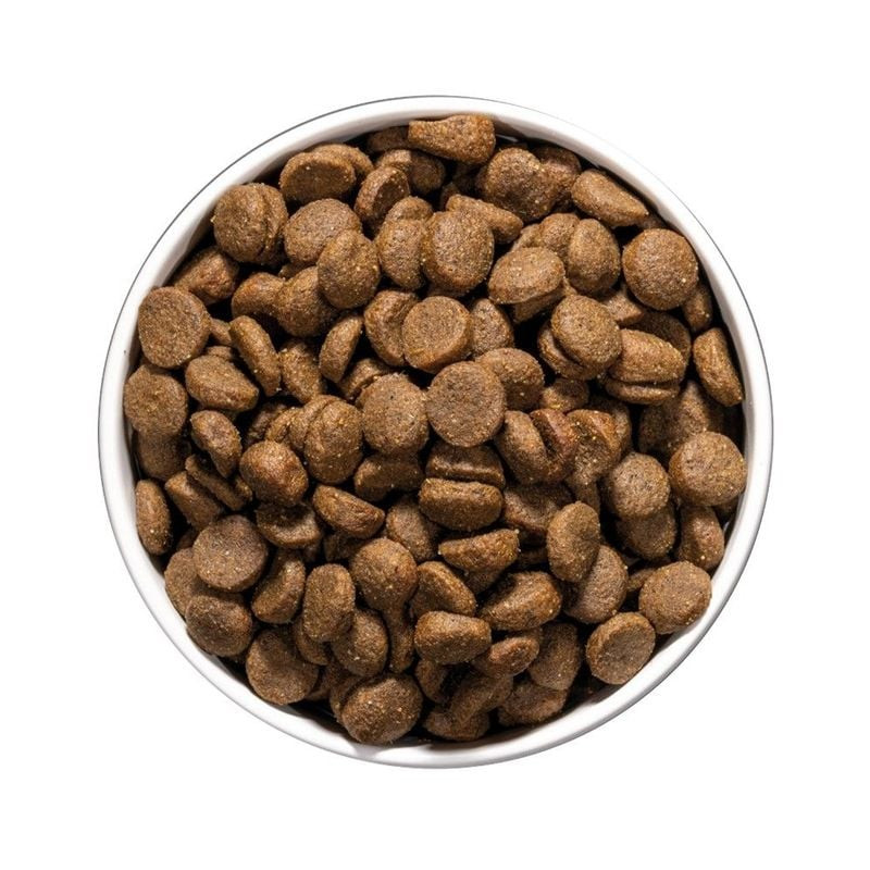 Gros plan sur des croquettes brunes Ownat Care Dermatologic pour chien dans un bol blanc, vue de des