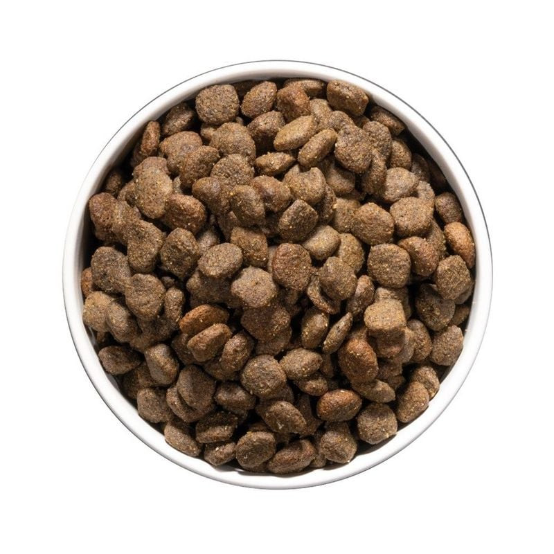 Bol blanc rempli de croquettes brunes Ownat Care Digestive pour chien, vu de dessus.