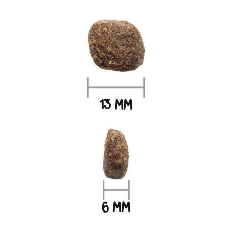 Une croquette pour chien Ownat Care Digestive mesurée à 13 mm de large et 6 mm d’épaisseur.