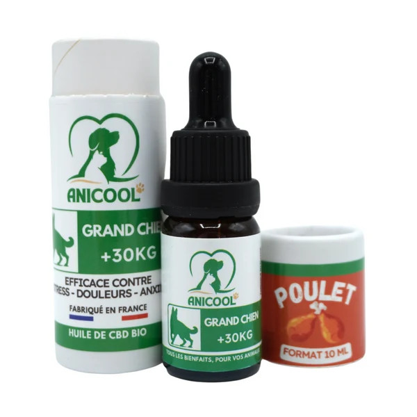 ANICOOL Huile Chanvre Chien - 10ml Poulet | Soulagement Douleurs