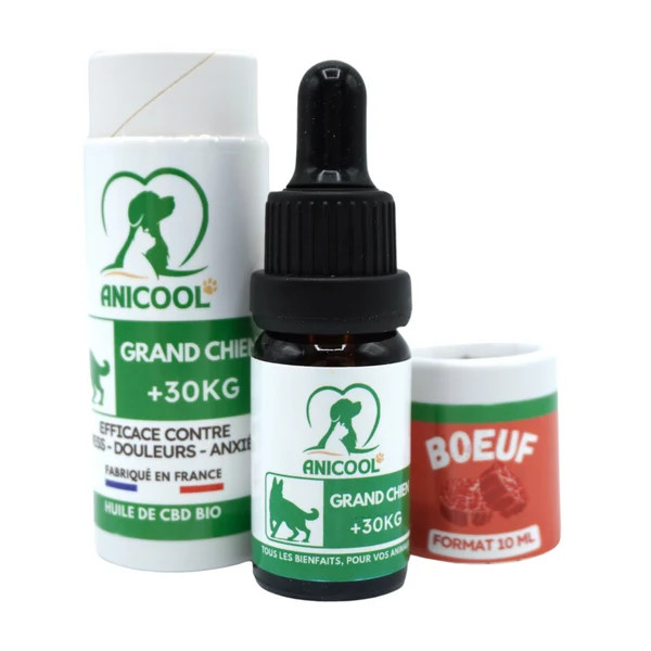 ANICOOL Huile Chanvre Bœuf 10ml - Bien-être Grand Chien | Sans THC