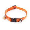 Coll nyl regl chat 10-20/30m orange