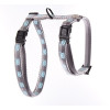 Harn moustache regl nyl 10-35/50 gris