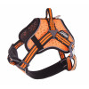 Harnais arka dog s orange