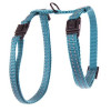 Harnais regl flash bleu 10-35/50cm
