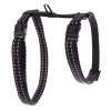 Harnais regl flash noir 10-35/50cm