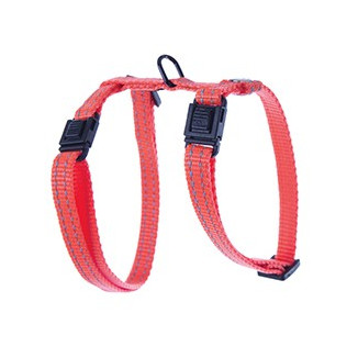 Harnais regl flash orange 10-35/50cm