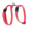 Harnais regl flash orange 10-35/50cm