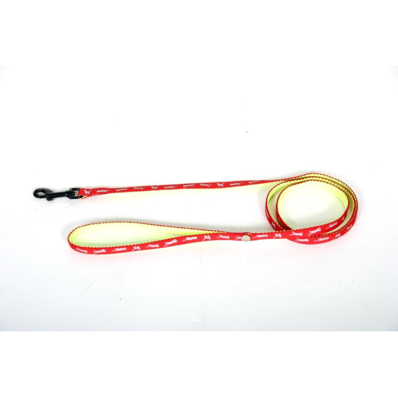 Laisse cat bicol 10-120 rg