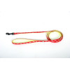 Laisse cat bicol 10-120 rg