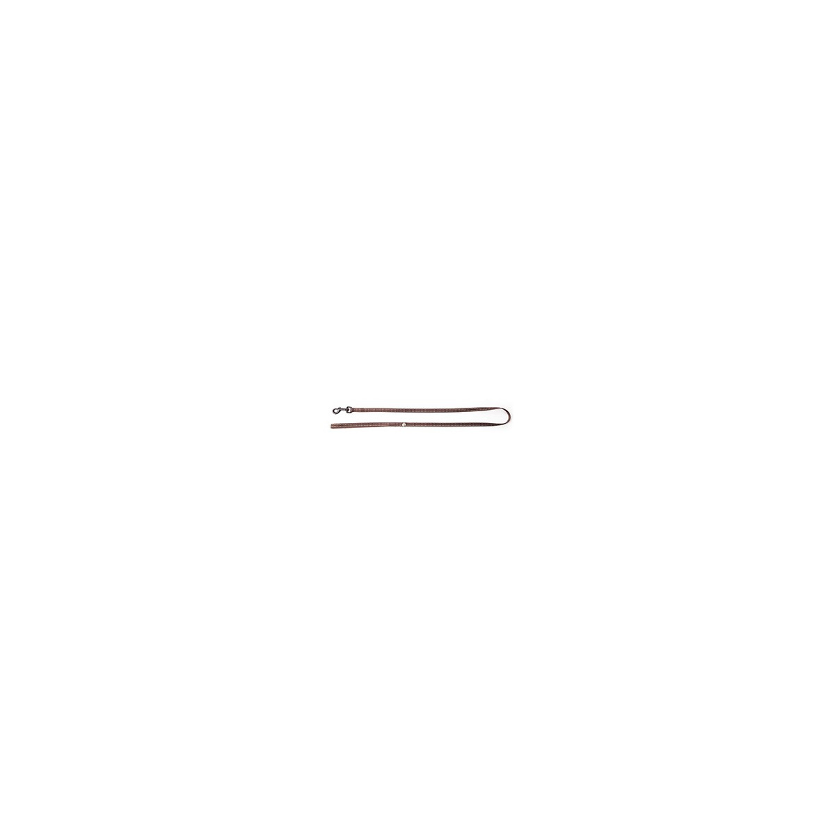 Laisse chat flash marron 10-100cm