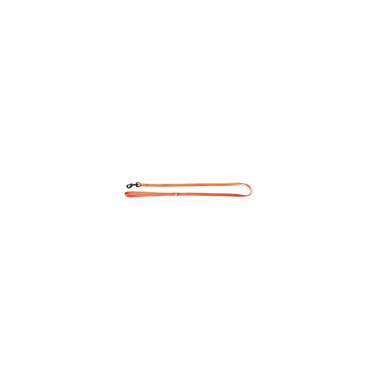 Laisse chat flash orange 10-100cm