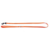 Laisse chat flash orange 10-100cm