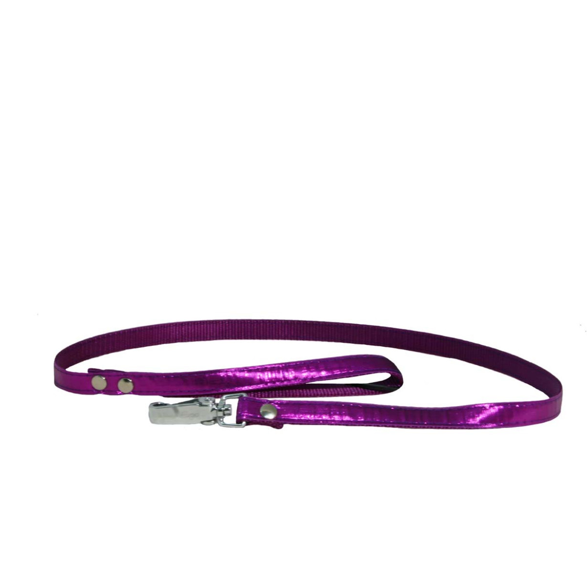 Laisse disco s 15-100 vio