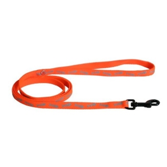 Laisse fluo fish 10-120 or