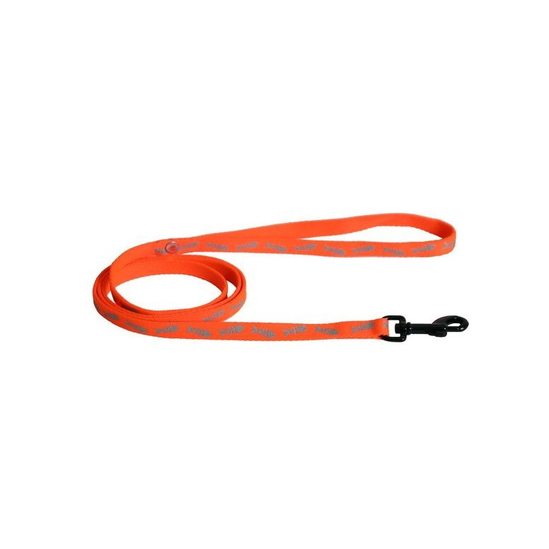 Laisse fluo fish 10-120 or