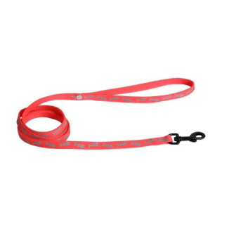 Laisse fluo fish 10-120 rs