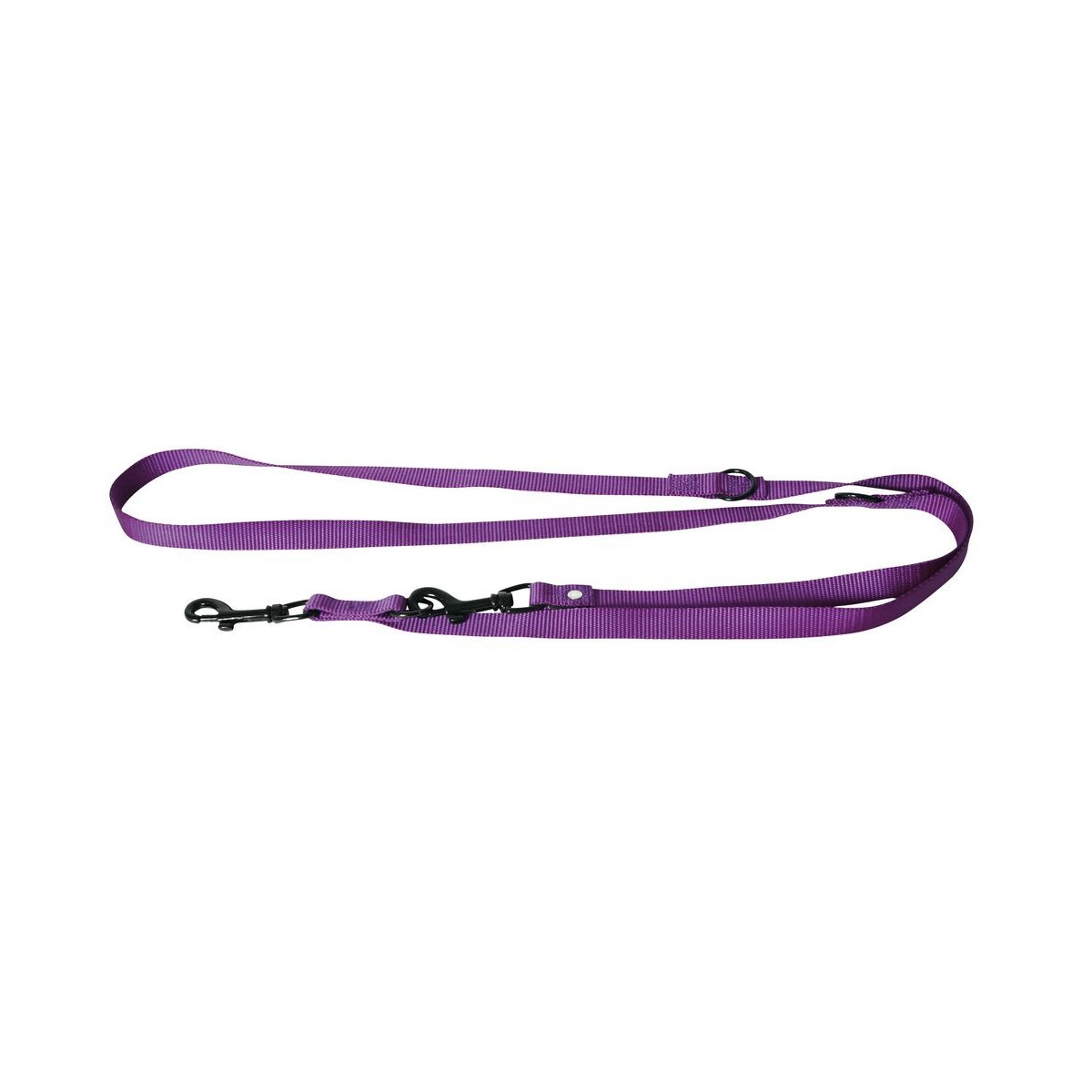 Laisse nyl 3p 20-200 mauve.