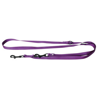 Laisse nyl 3p 20-200 mauve.