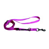 Laisse nyl 3p 20-200 rose.