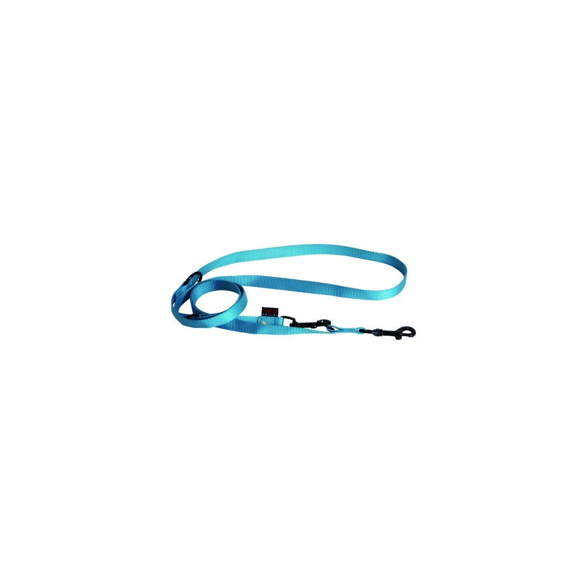 Laisse nyl 3p 20-200 turqu.