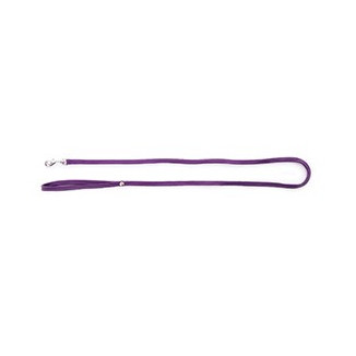 Laisse nyl tub 10-120 bleu