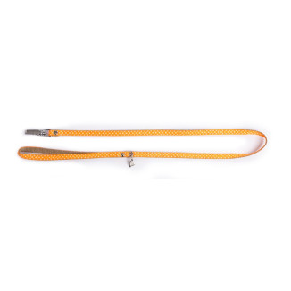 Laisse pois s 15-100 oran