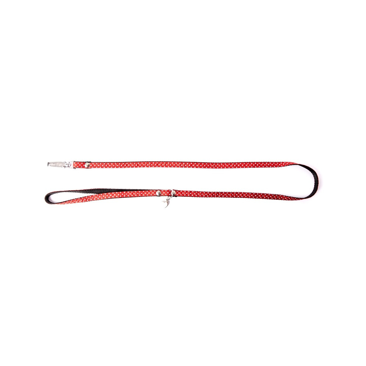 Laisse pois s 15-100 rge