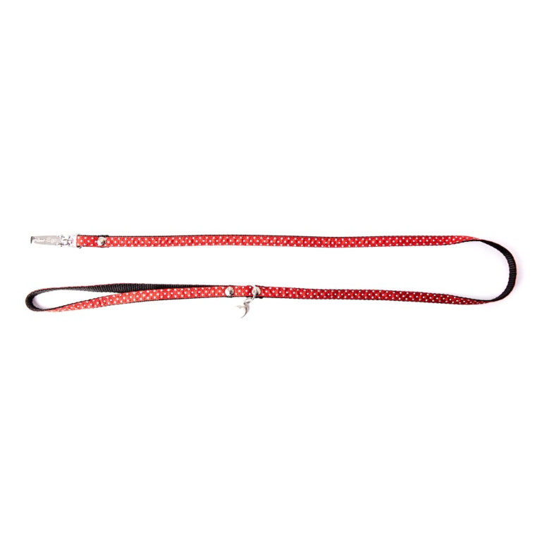 Laisse pois s 15-100 rge