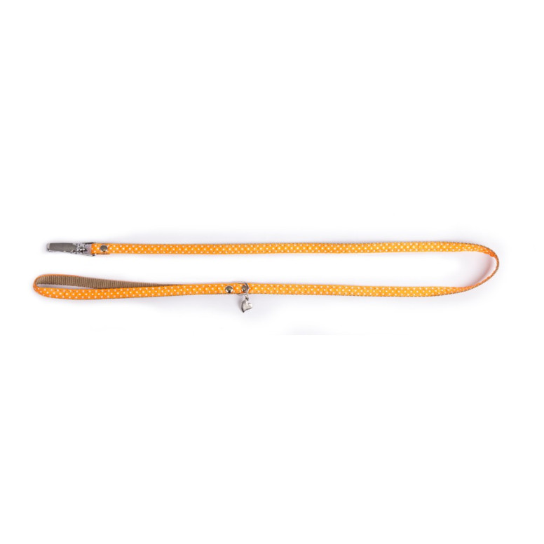 Laisse pois xs 10-100 oran