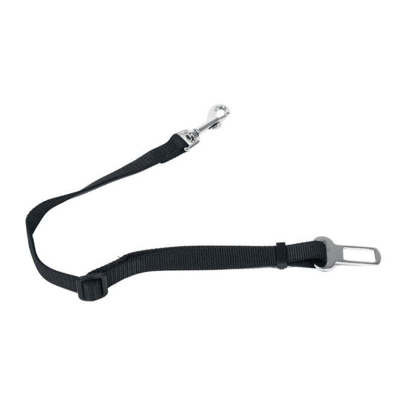 Laisse securite 20-45/70