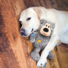 KONG wild knots bears ml