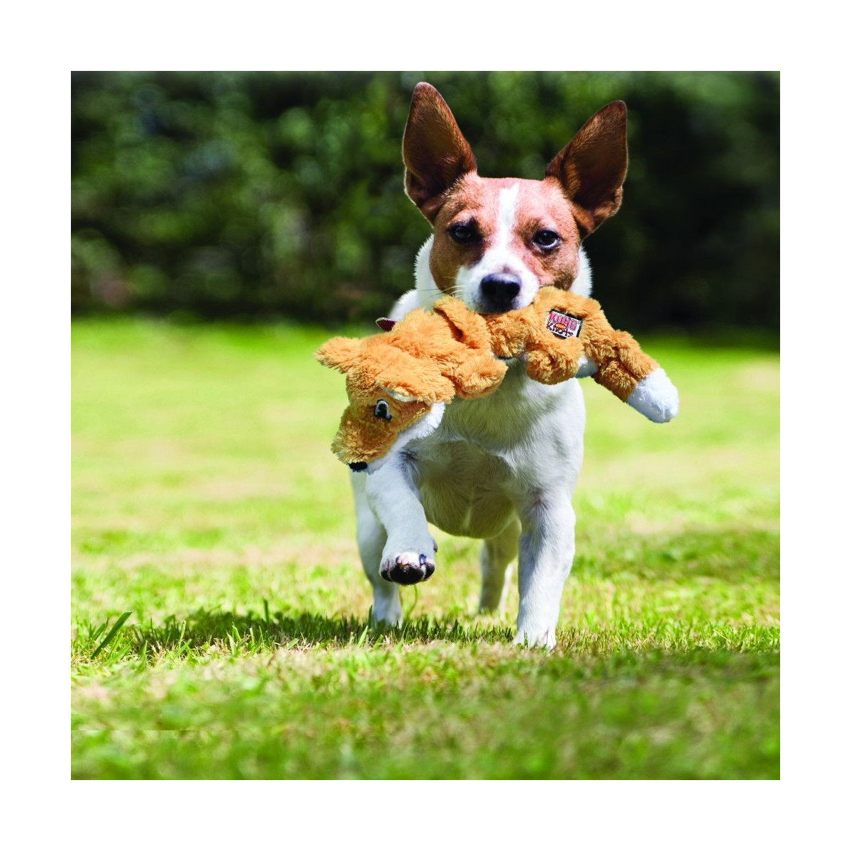 KONG scrunch knots racoon ml