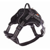 Harnais arka dog xl gris