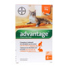 Advantage chat/lapin -4kg 4p