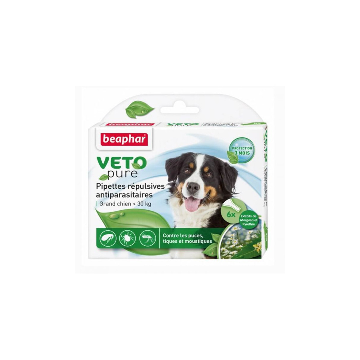 Pipettes grand chien antiparasitaires x 6