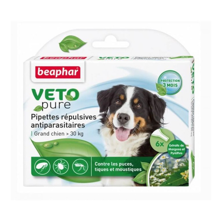 Pipettes grand chien antiparasitaires x 6