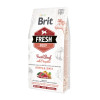 Croquette chien brit fresh puppy bouf 2,5kg