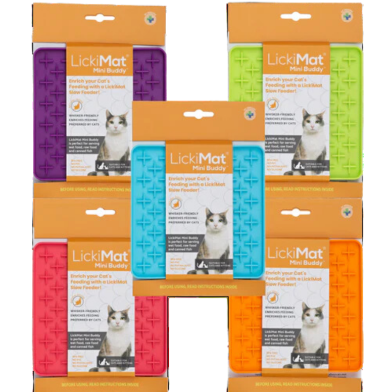Gamelle a lecher mini buddy orange chat