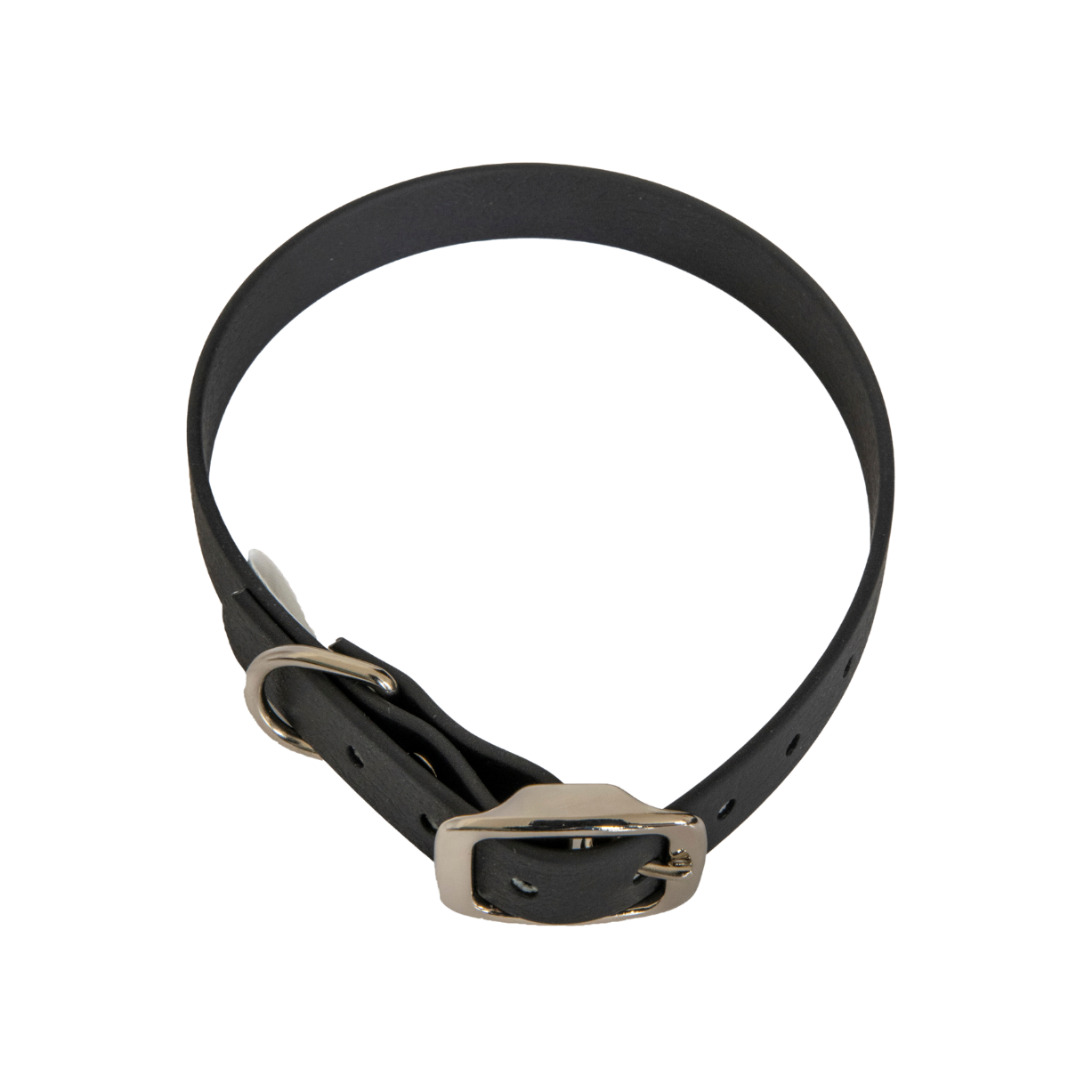Collier en biothane ep16 mm taille s noir