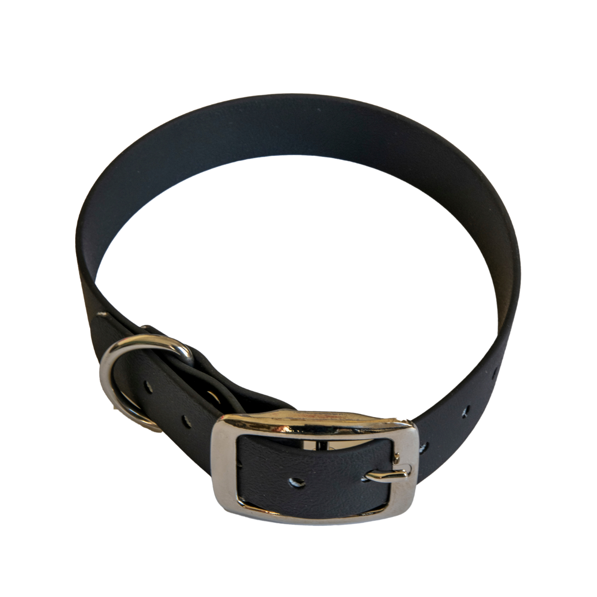Collier en biothane ep25 mm taille l noir