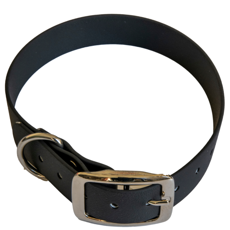 Collier en biothane ep25 mm taille l noir