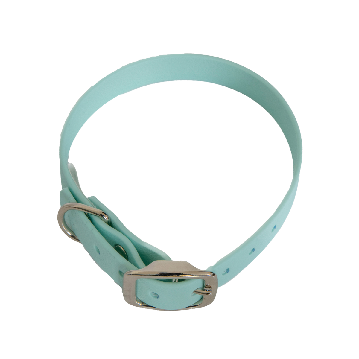 Collier en biothane ep16 mm taille s turquoise