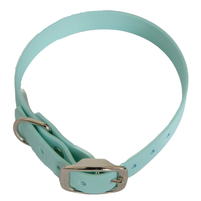 Collier en biothane ep16 mm taille s turquoise