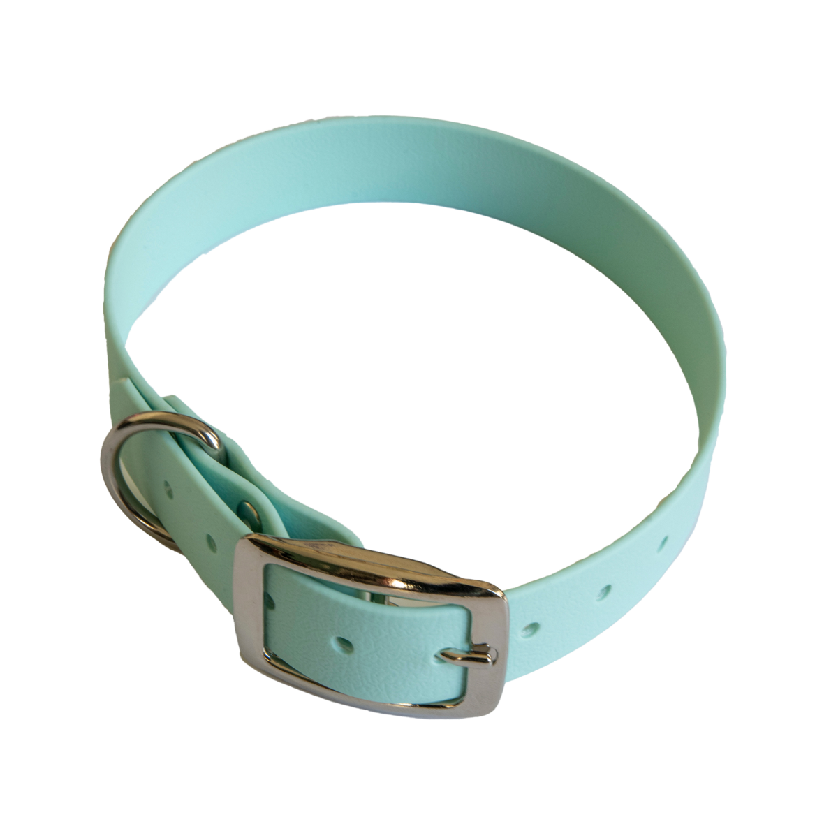 Collier en biothane ep25 mm taille l turquoise