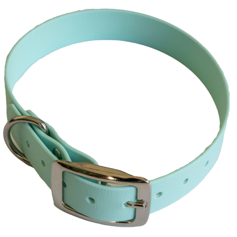 Collier en biothane ep25 mm taille l turquoise